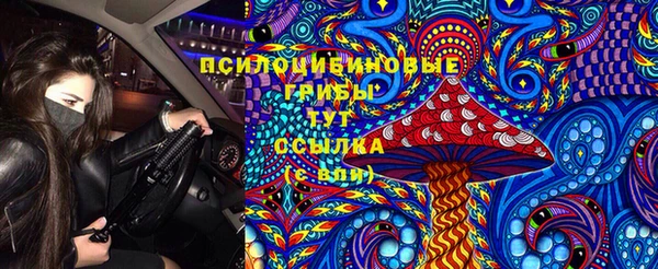 гидра Верея