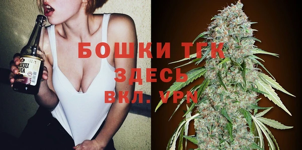 гидра Верея