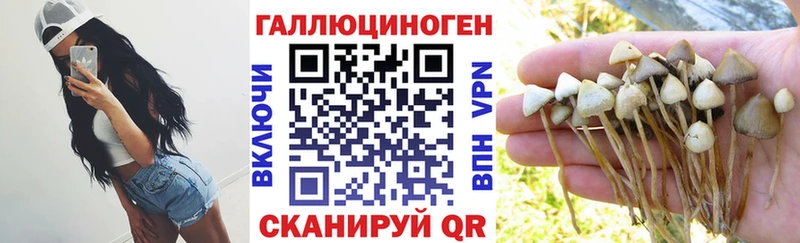 Псилоцибиновые грибы Magic Shrooms  наркота  Новая Усмань 